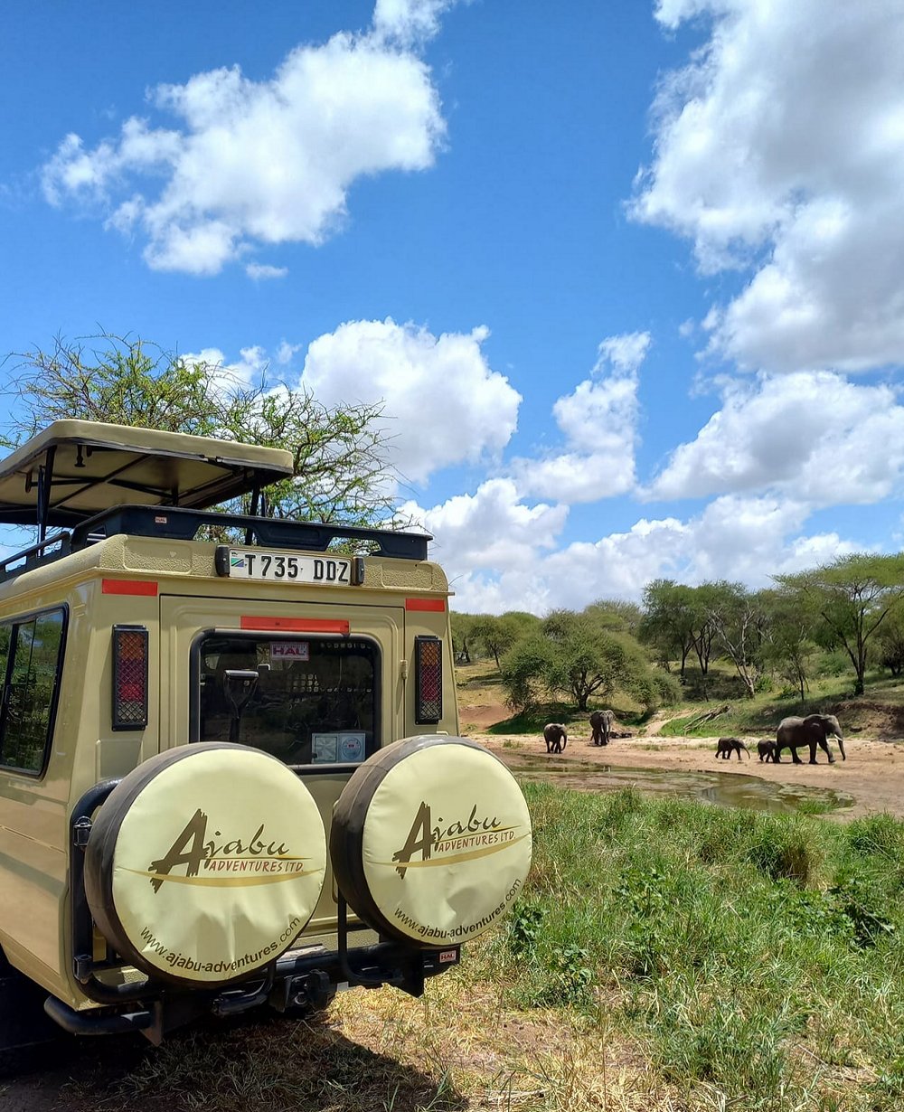 Private safari vehicle of Ajabu Adventures venturing out in Tarangire near elephants